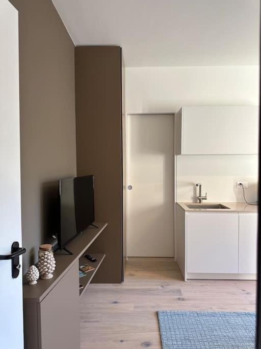 Apartament Riva 17 Lugano Zewnętrze zdjęcie